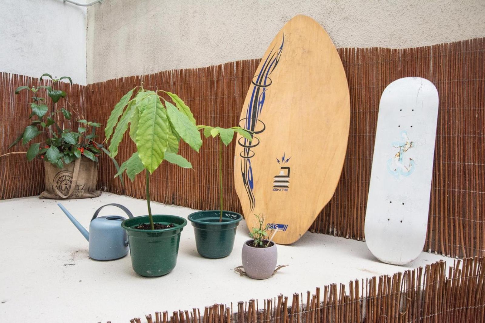 Altzoan Zarauz Tourist Apartments Con Aparcamiento Gratis Exteriör bild